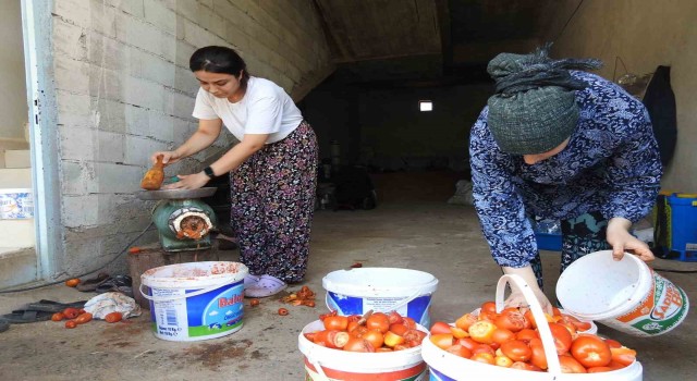 Kiliste kavurucu sıcak altında salça yapımı başladı