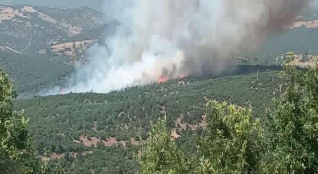 Kütahyadaki orman yangını söndürülmeye çalışılıyor
