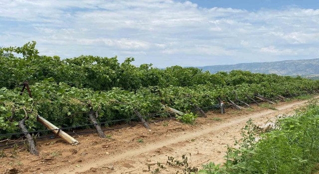 Manisadaki fırtına ve dolunun yol açtığı zarar tespit edilmeye başlandı