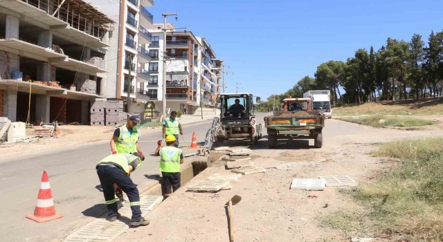 MASKİden Salihlide ızgara temizliği