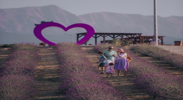 Merkezefendinin mor güzelliği misafirlerini bekliyor