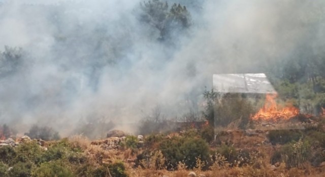Mersin Bozyazıda orman yangını büyümeden söndürüldü