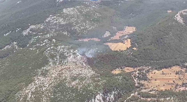 Milas orman yangını kısmen kontrol altında