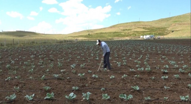 Muşta 30 yıl sonra bir ilk: Köylerine dönüp tarıma başladılar