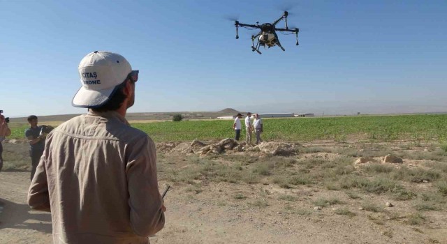 Niğdede tarlalar dron ile ilaçlanıyor