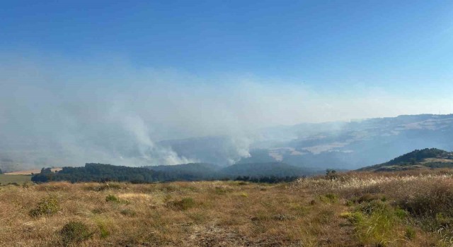 Orman yangını 18 saattir kontrol altına alınmaya çalışılıyor