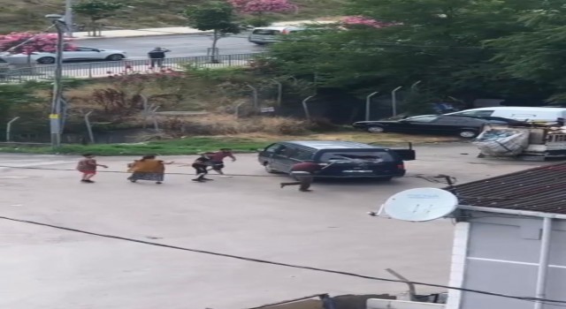 Pendikte taşlı sopalı kavga