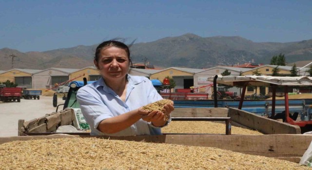 Sandıklıda arpa üreticileri alım fiyatlarından dertli