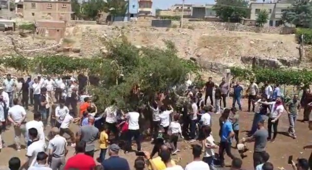 Siirtte damat çiftçi olunca düğün konvoyu traktörlerden oldu