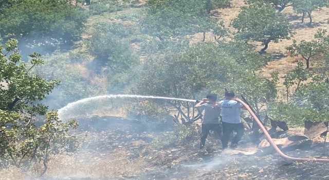 Siirtte fıstık bahçesinde çıkan yangın söndürüldü
