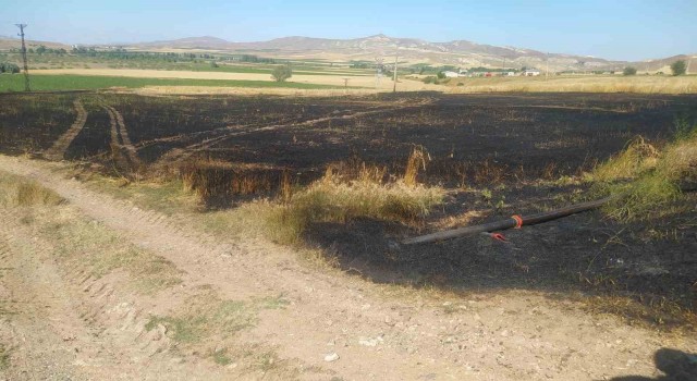 Sivasta tarla yangınında 50 dönüm ekili alan kül oldu