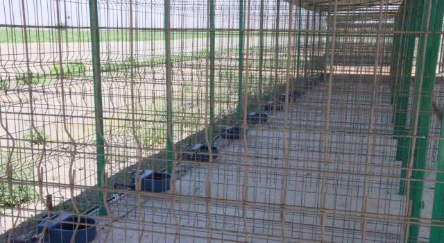 "Sokak Hayvanları Bakım Merkezi ve Doğal Yaşam Alanı" hizmete açıldı