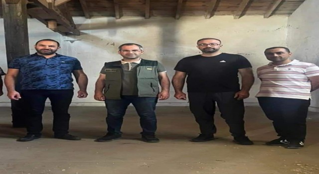 Şuhutta TMO hububat alımına başladı