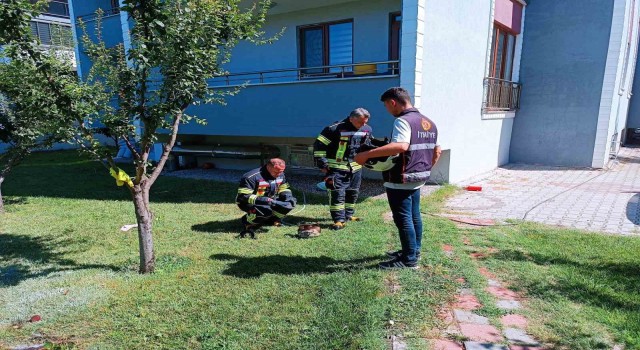Tavşanlıda alev alan mutfak tüpü paniğe sebep oldu