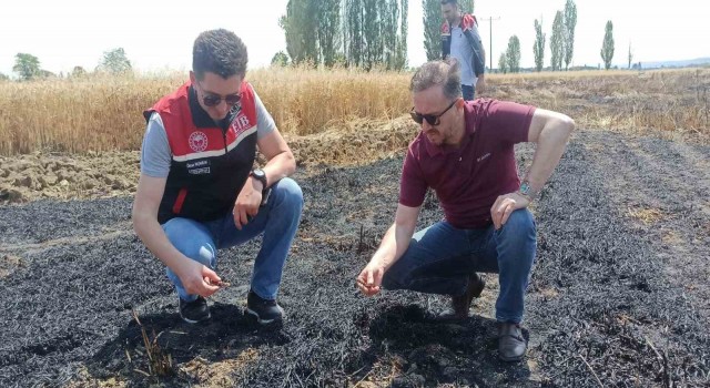 Tepebaşı İlçe Tarım Müdürlüğü yangın çıkan tarlalarda inceleme yaptı