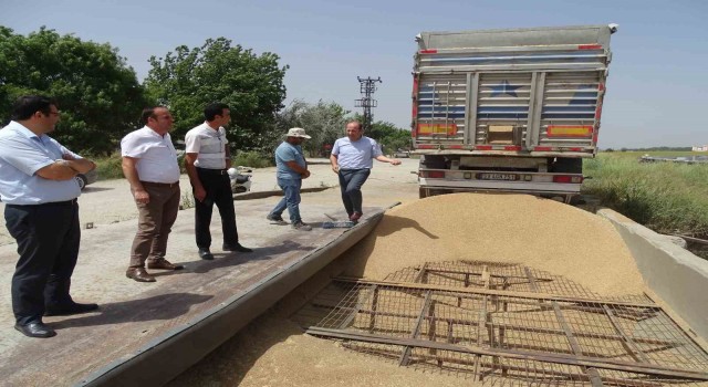 TMOnun üreticiden aldığı yılın ilk mahsulleri yerinde incelendi