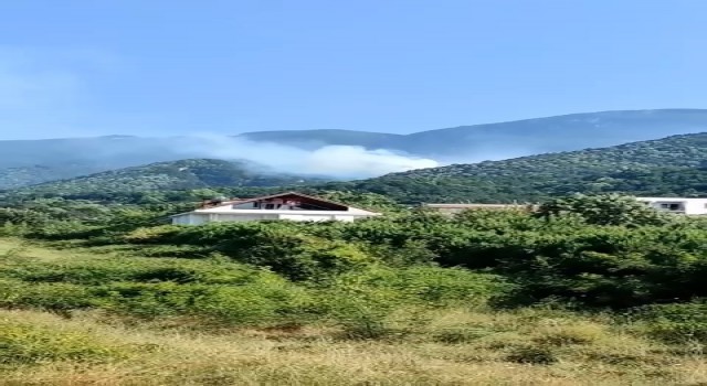 Uludağın eteklerinde orman yangını