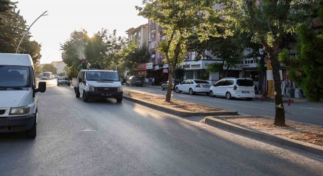 Uşak Belediyesinin ilaçlama çalışmaları devam ediyor