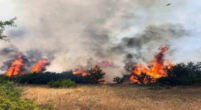 Valilikten sıcak ve yangın uyarısı