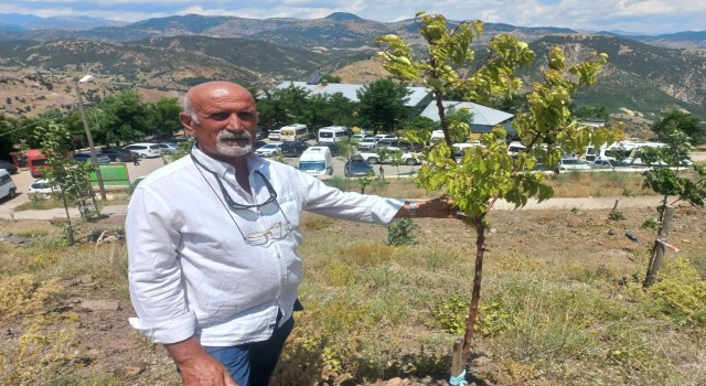Vatandaşların ziyaret ettiği Düzgün Babaya bin 500 ağaç diktirdi