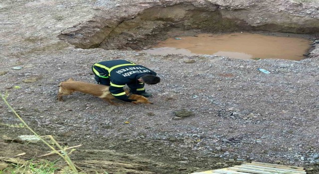 Yalovada inşaat temeline düşen köpeği itfaiye kurtardı