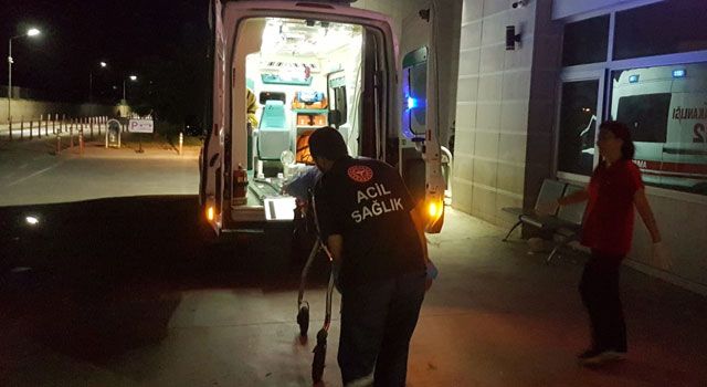 Adana'da ev sahibi kiracısını bıçakladı, köpeğini öldürdü