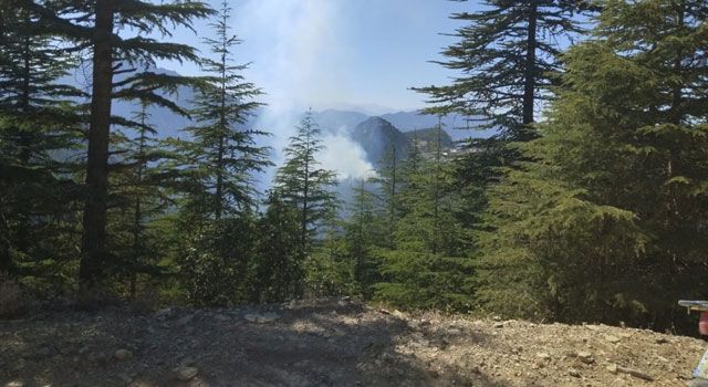 Adana'da Orman Yangını