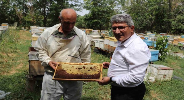 Ağrılı arıcılar tescilli geven balı hasadını sürdürüyor