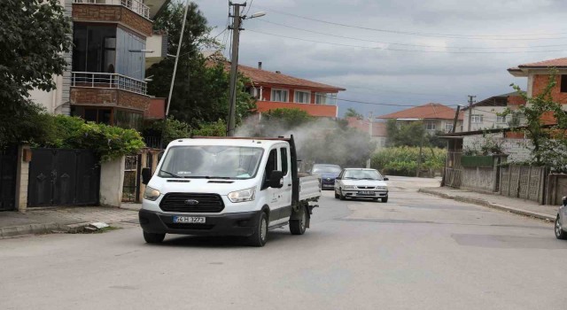 Akyazıda ilaçlama çalışmaları sürüyor