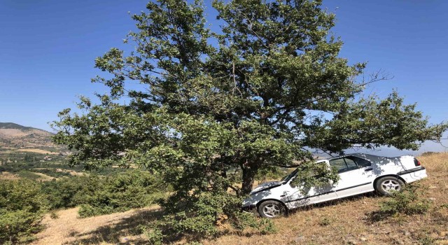 Amasyada uçuruma uçan otomobili ağaç kurtardı: 1 yaralı