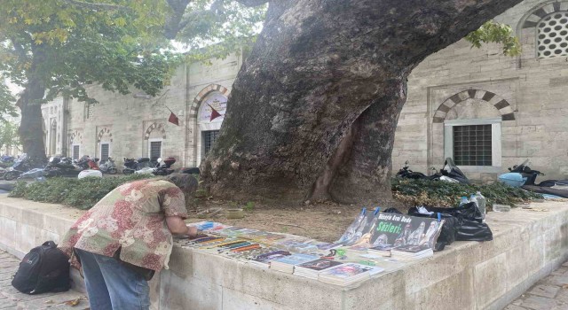 Beyazıt Meydanının çınarı Hüseyin Avni Dede: 58 yıldır adının verildiği ağacın altında
