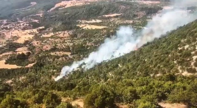 Boluda orman yangını: Helikopter ve arazözlerle müdahale ediliyor