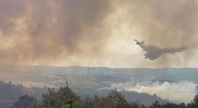 Çanakkale'de Orman Yangını: 500 Hektar Ormanlık Alan Zarar Gördü