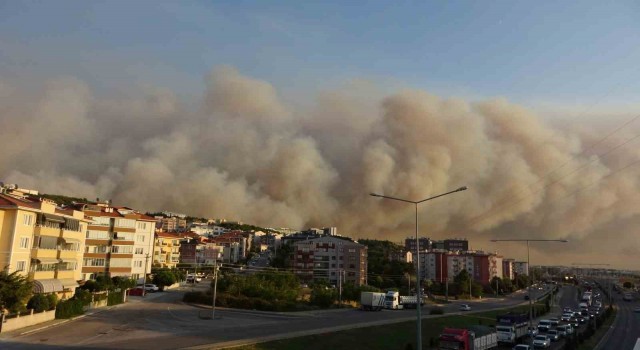 Çanakkalede orman yangını nedeniyle şehir merkezi adeta dumanla kaplandı
