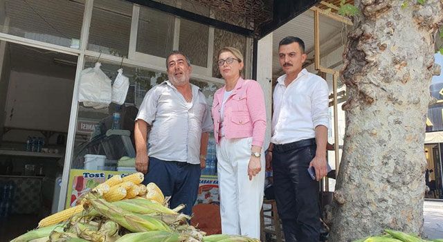 CHP'li Asu Kaya, Düziçi'nde su sıkıntısını gündeme getirdi