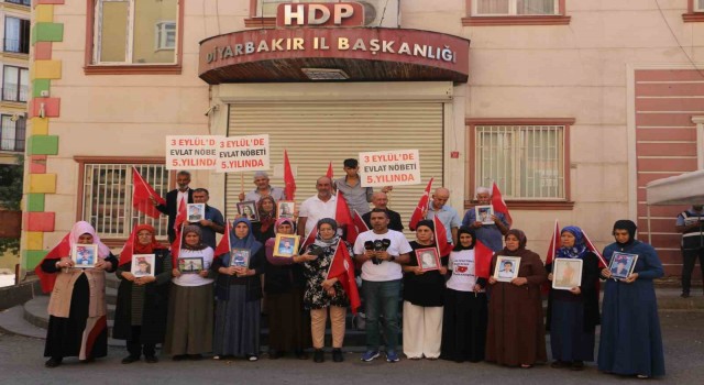 Diyarbakır annelerinin 5inci yıl çağrısı devam ediyor