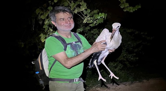 Doğa yürüyüşçüleri karşılaştıkları yaralı leyleği tedavi için ekiplere teslim etti