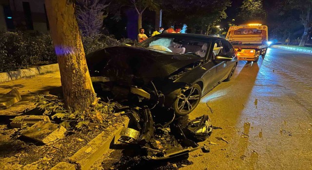 Elazığda otomobil ağaca çarptı: 1 yaralı