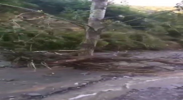 Elazığda sağanak yağış köy yollarını tahrip etti
