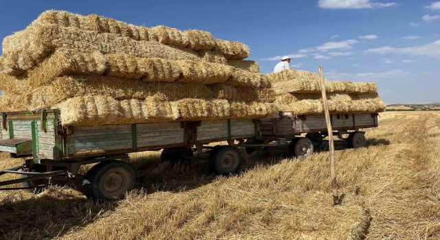 Eskişehirde çiftçilerin saman mesaisi başladı