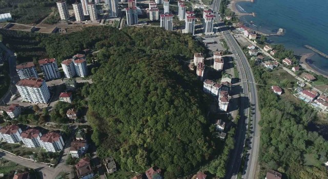Fatsada vatandaşlar bu projeyi bekliyor