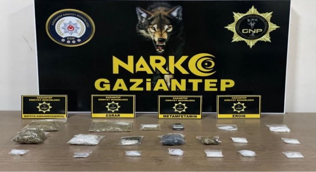 Gaziantepte 25 kök kenevir ele geçirildi