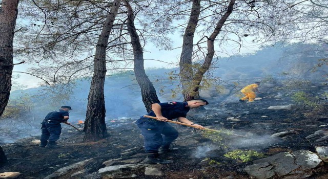Gazipaşadaki orman yangını havadan ve karadan yapılan müdahale ile söndürüldü