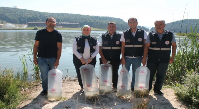 Göllere 35 bin yavru balık bırakıldı