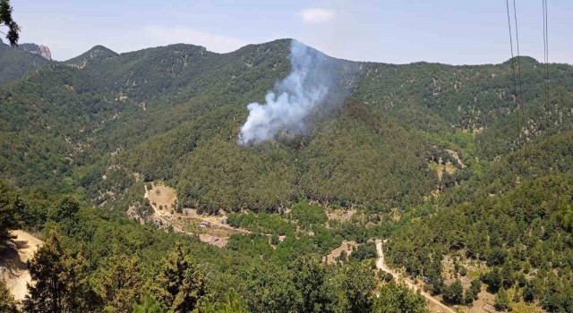Hatayda orman yangını