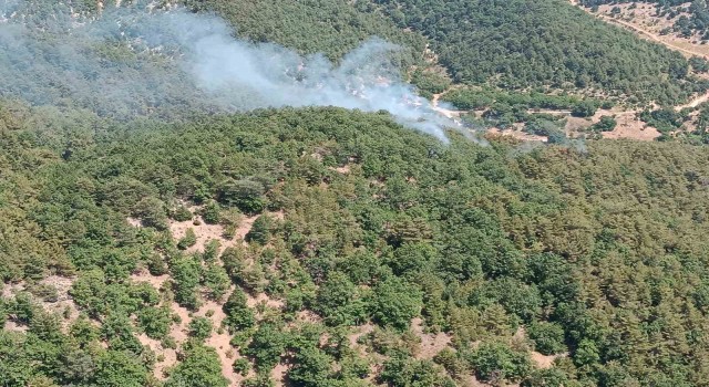 Hatayda orman yangını kontrol altına alındı