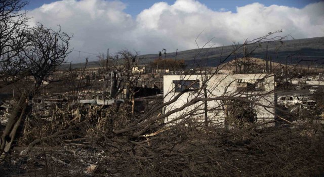 Hawaii'de can kaybı 96'ya yükseldi