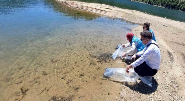 Hisarcıkta baraj ve göletlere 60 bin yavru sazan balığı bırakıldı
