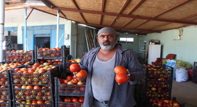 Iğdırda yetiştirilen sebze ve meyveler il dışına satılıyor