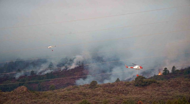 İspanyanın Tenerife Adasındaki yangın büyüyor: Bin 800 hektar alan kül oldu